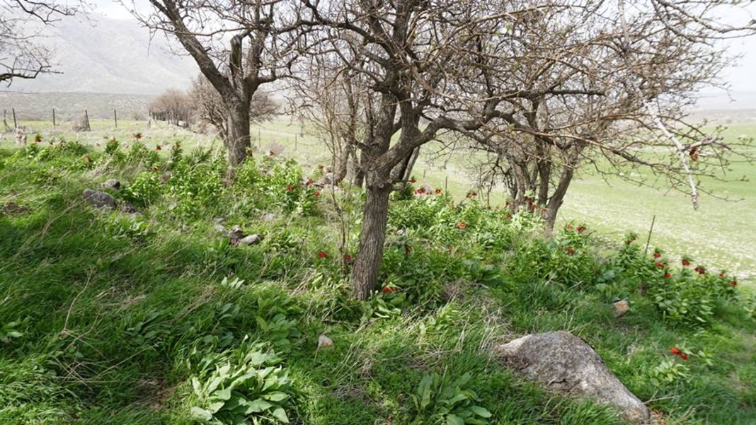 Bu insanlar neye bakıyor? Gece-gündüz nöbet tutuyorlar, ilk kez görenler şaştı kaldı! 23